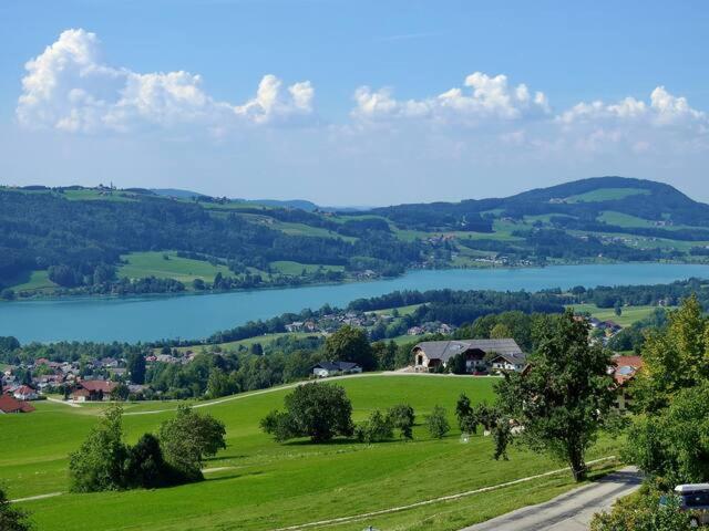 Wunderschoene Ferienwohnung Mit Seeblick Целль-ам-Мос Экстерьер фото